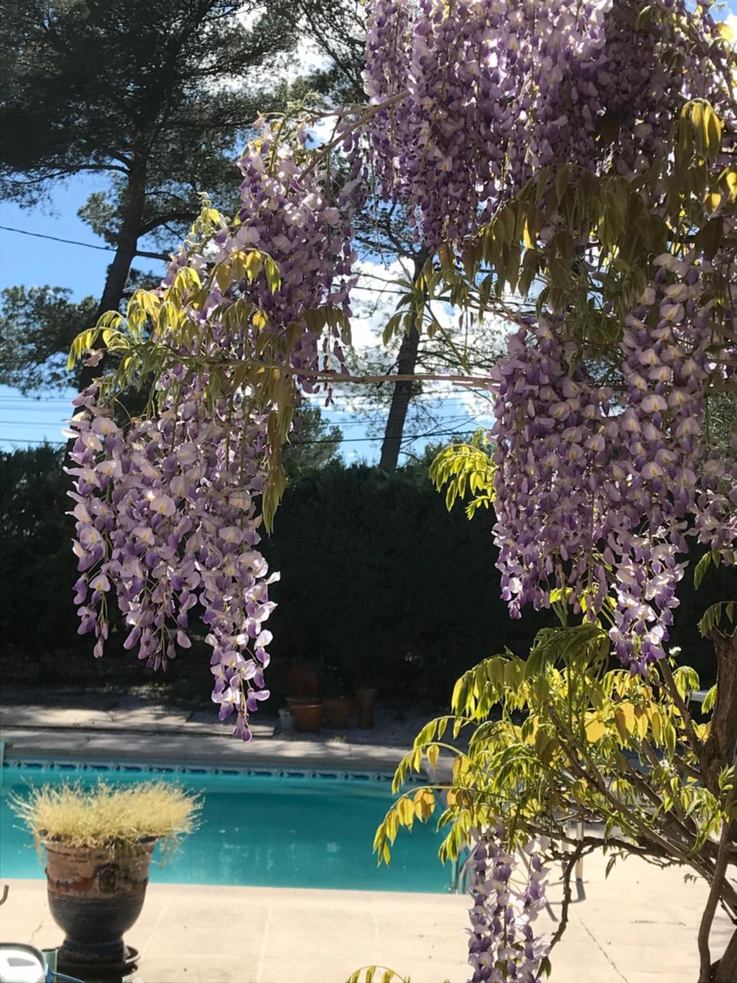 Hotel Le Patio Fleuri Lorgues Zewnętrze zdjęcie